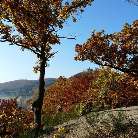 Belvedere - Das Bio Hotel Garni & Suitehotel Am Edersee ! Unser Geschenk Fuer Sie, Auch Die Gaestecard Grimmheimat! Waldeck  Eksteriør bilde