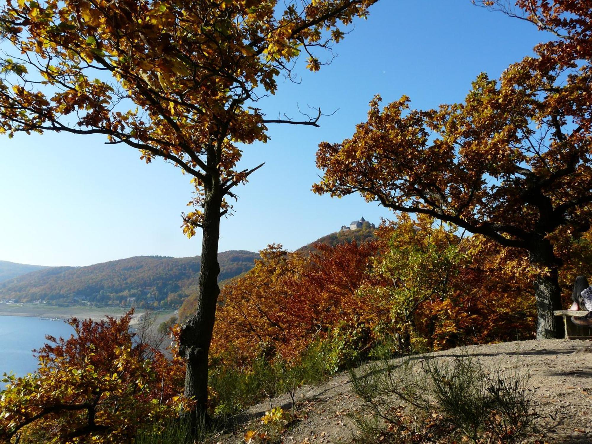 Belvedere - Das Bio Hotel Garni & Suitehotel Am Edersee ! Unser Geschenk Fuer Sie, Auch Die Gaestecard Grimmheimat! Waldeck  Eksteriør bilde