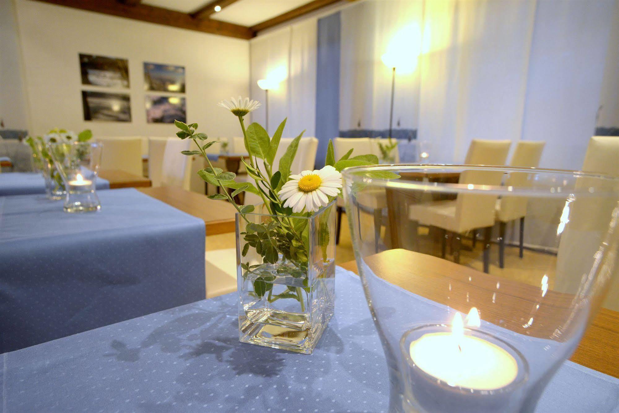 Belvedere - Das Bio Hotel Garni & Suitehotel Am Edersee ! Unser Geschenk Fuer Sie, Auch Die Gaestecard Grimmheimat! Waldeck  Eksteriør bilde